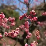 jgmakuの画像