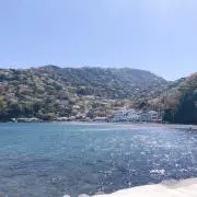 SHUNの画像