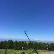 断捨離中の画像