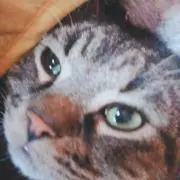 イナムドゥチになりまして