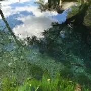 よねたろうの画像