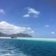 SA★の画像
