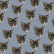 四ツ谷