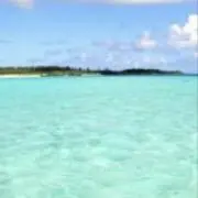 stkの画像