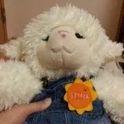 pipipi