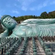 ゆぴの画像