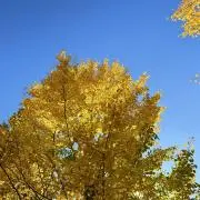 kの画像
