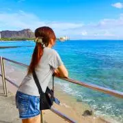 ありんこの画像