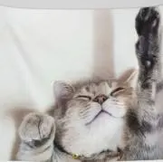 nnn♡の画像