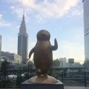 アップルチーズの画像