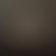 サンの画像