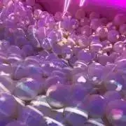 あんこの画像