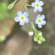 えーちゃんの画像