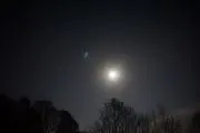 モモネコ⭐︎プロフ必須の画像