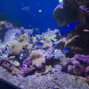 おまとめ割引あり⭐︎相談してくださいの画像