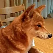 じゅんじゅん