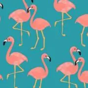 フラミンゴ