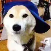 noriの画像
