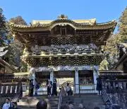 green_033yの画像