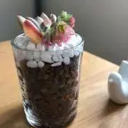 のんの画像