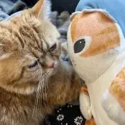 ひまりの画像