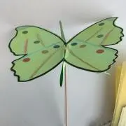 shinta