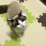さくそら