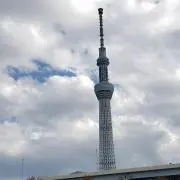 トロピカル