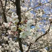 たろたろ☆コメントお気軽に☆の画像