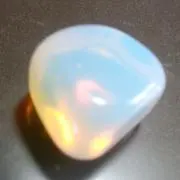 エミリーの画像