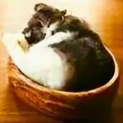 まるち