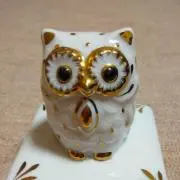 マルメリーの画像