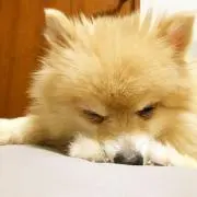 sora.aの画像