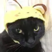 美月✩.*˚プロフィ必須の画像