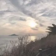リプロダクション✨✨の画像
