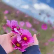 ちゃんの画像