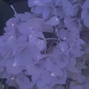 ゆ*プロフ一読推奨の画像