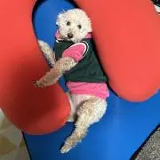 ソラママ