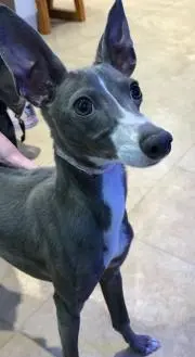 Kの画像