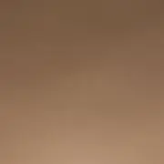 りーの画像