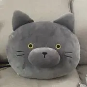 222の画像