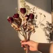 小雪の画像