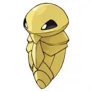 cocoonの画像