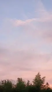 yammの画像
