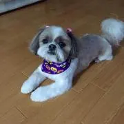 まりりん