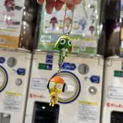 いぬ。プロフ必読の画像