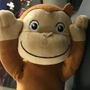 dsikの画像