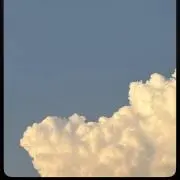 mimi 【即日発送可】の画像