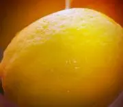 レモンの木の画像
