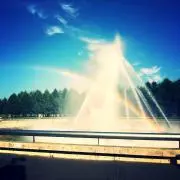 ゆきの画像